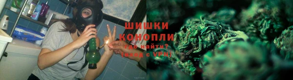 дурь Алзамай