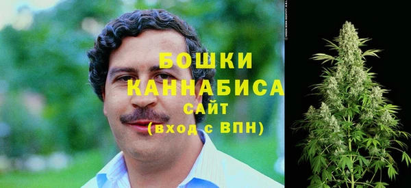 дурь Алзамай